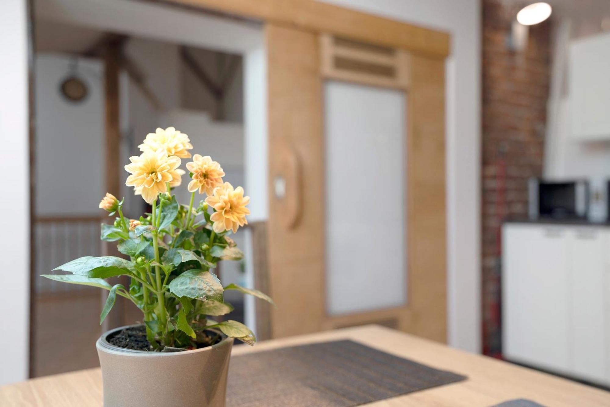 Apartamento Loft Sven Baden-Baden Exterior foto